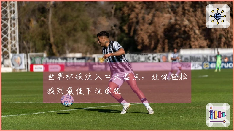 世界杯投注入口大盘点，让你轻松找到最佳下注途径