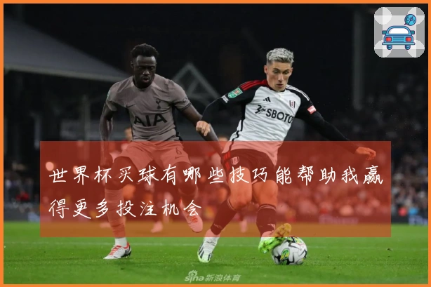 世界杯买球有哪些技巧能帮助我赢得更多投注机会