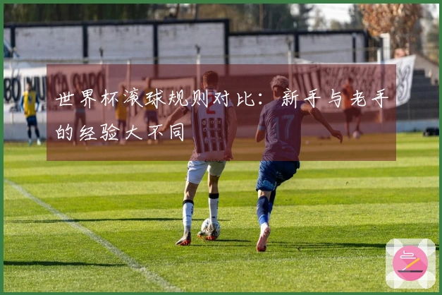 世界杯滚球规则对比：新手与老手的经验大不同
