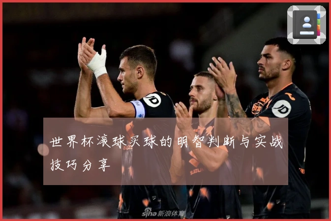 世界杯滚球买球的明智判断与实战技巧分享