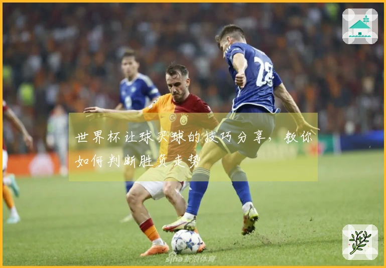 世界杯让球买球的技巧分享，教你如何判断胜负走势