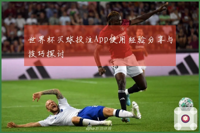世界杯买球投注App使用经验分享与技巧探讨