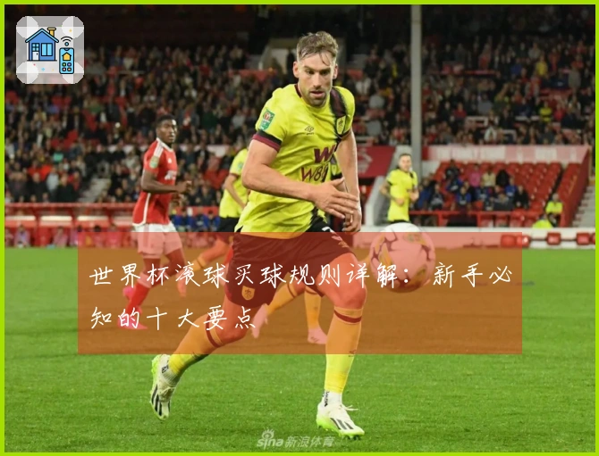 世界杯滚球买球规则详解：新手必知的十大要点