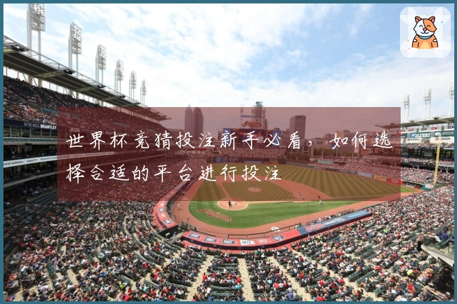 世界杯竞猜投注新手必看，如何选择合适的平台进行投注