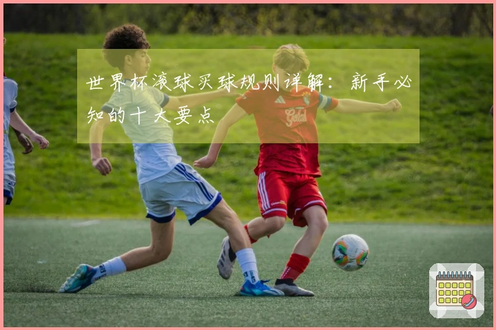 世界杯滚球买球规则详解：新手必知的十大要点