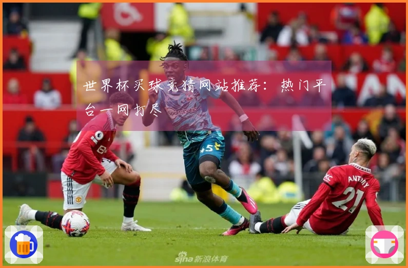 世界杯买球竞猜网站推荐：热门平台一网打尽