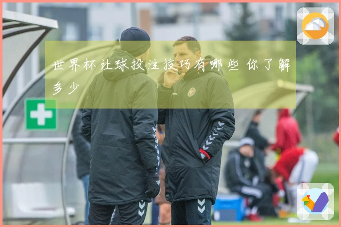 世界杯让球投注技巧有哪些 你了解多少