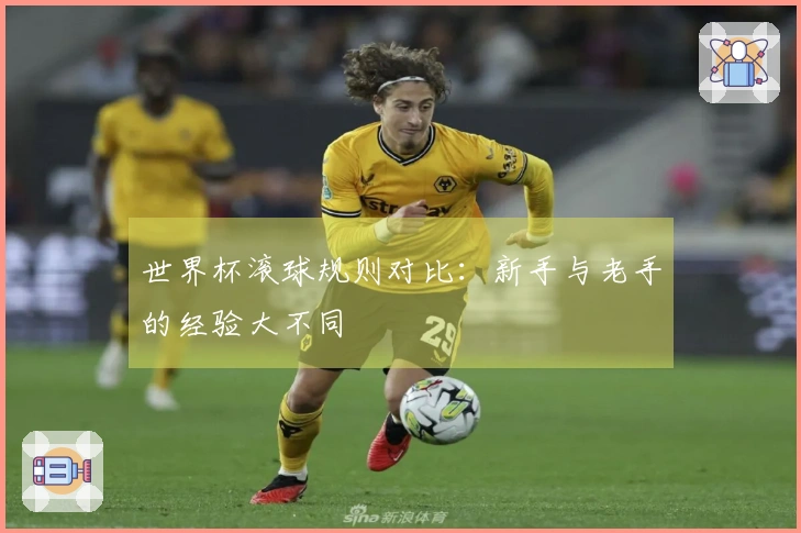 世界杯滚球规则对比：新手与老手的经验大不同