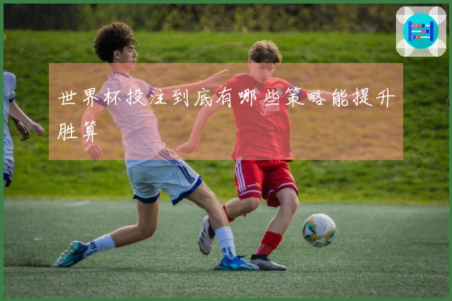世界杯投注到底有哪些策略能提升胜算